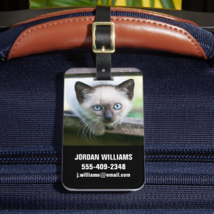 Niedliche Kleintiere   Siamese Kitten 2 Gepäckanhänger