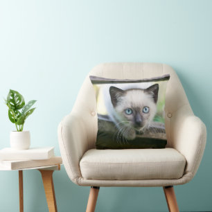 Niedliche Kleintiere Siamese Kitten 2 Kissen