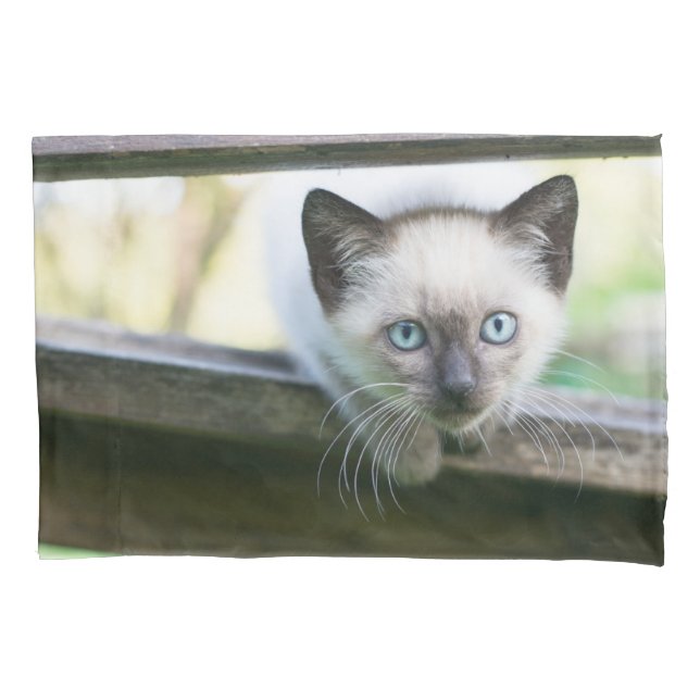 Niedliche Kleintiere | Siamese Kitten 2 Kissenbezug (Vorderseite)