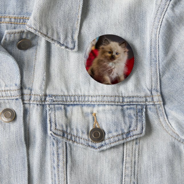 Niedliche Kleintiere | Siamese Kitten Button (Beispiel)