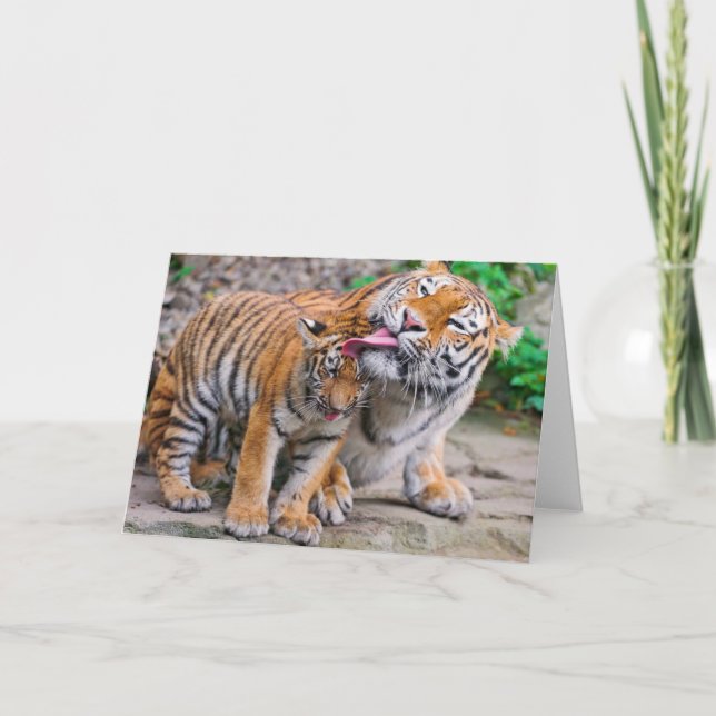 Niedliche Kleintiere | Sibirische Tiger-Familie Karte (Vorderseite)