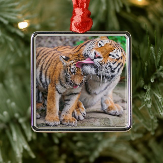 Niedliche Kleintiere | Sibirische Tiger-Familie Ornament Aus Metall (Baum)