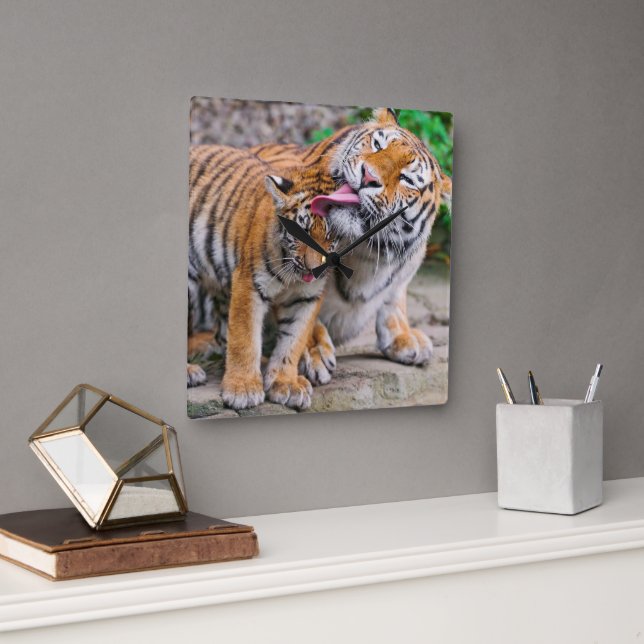 Niedliche Kleintiere | Sibirische Tiger-Familie Quadratische Wanduhr (Büro)