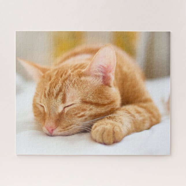 Niedliche Kleintiere | Sleeping Ginger Cat (Horizontal)
