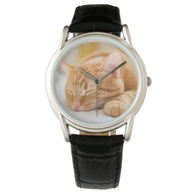Niedliche Kleintiere | Sleeping Ginger Cat Armbanduhr (Vorderseite)