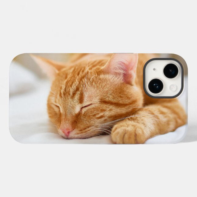Niedliche Kleintiere | Sleeping Ginger Cat Case-Mate iPhone 14 Hülle (Rückseite (Horizontal))