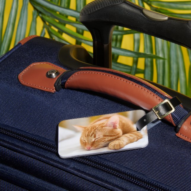 Niedliche Kleintiere | Sleeping Ginger Cat Gepäckanhänger (Vorderseite Insitu 3)