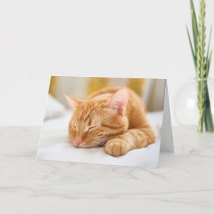 Niedliche Kleintiere   Sleeping Ginger Cat Karte