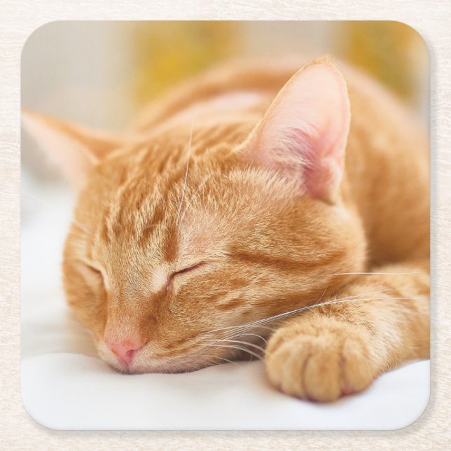 Niedliche Kleintiere | Sleeping Ginger Cat Rechteckiger Pappuntersetzer (Vorderseite)