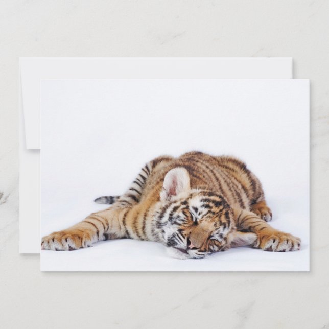 Niedliche Kleintiere | Sleepy Baby Tiger Cub Dankeskarte (Vorderseite)