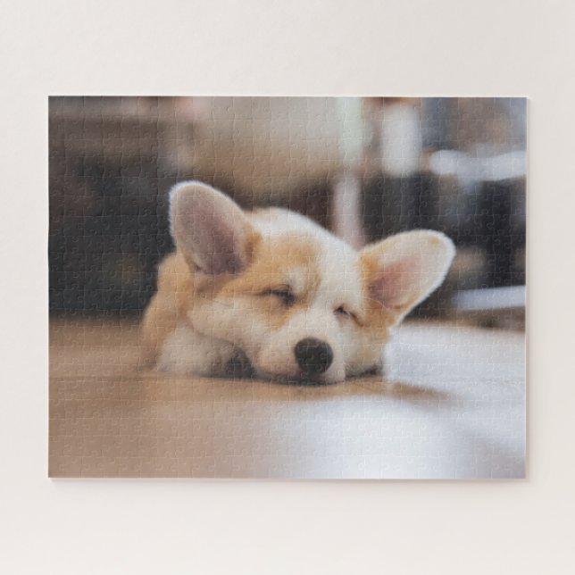 Niedliche Kleintiere | Sleepy Corgi (Horizontal)