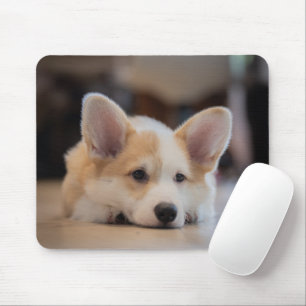 Niedliche Kleintiere Sleepy Corgi Puppy Mousepad
