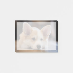 Niedliche Kleintiere Sleepy Corgi Puppy Post-it Klebezettel
