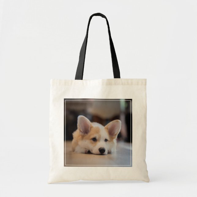 Niedliche Kleintiere | Sleepy Corgi Puppy Tragetasche (Vorne)