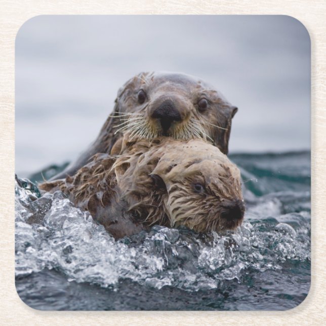 Niedliche Kleintiere | Sonstiges Baby & Mutter Rechteckiger Pappuntersetzer (Vorderseite)