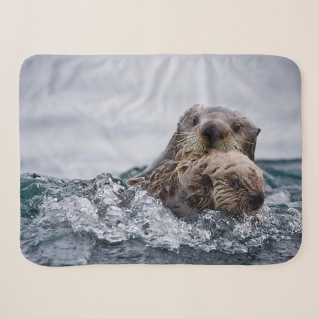 Niedliche Kleintiere | Sonstiges Baby & Mutter Sherpadecke (Vorderseite (Horizontal))