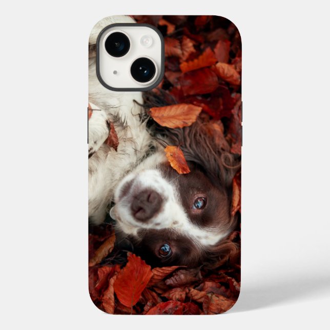 Niedliche Kleintiere | Spanier im Herbstbereich Case-Mate iPhone 14 Hülle (Rückseite)