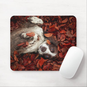 Niedliche Kleintiere   Spanier im Herbstbereich Mousepad