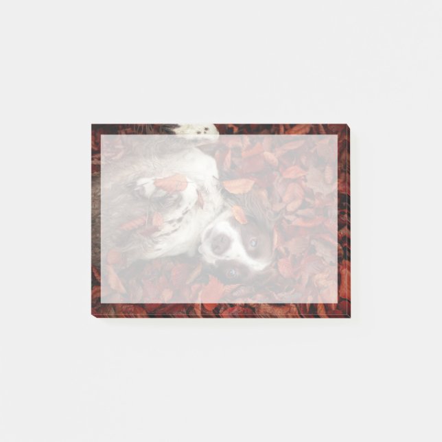 Niedliche Kleintiere | Spanier im Herbstbereich Post-it Klebezettel (Vorderseite)