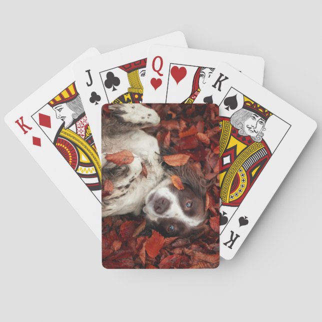 Niedliche Kleintiere | Spanier im Herbstbereich Spielkarten (Rückseite)