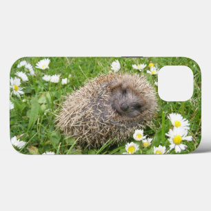 Niedliche Kleintiere Spanischer Igel Case-Mate iPhone Hülle