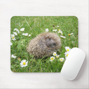 Niedliche Kleintiere Spanischer Igel Mousepad