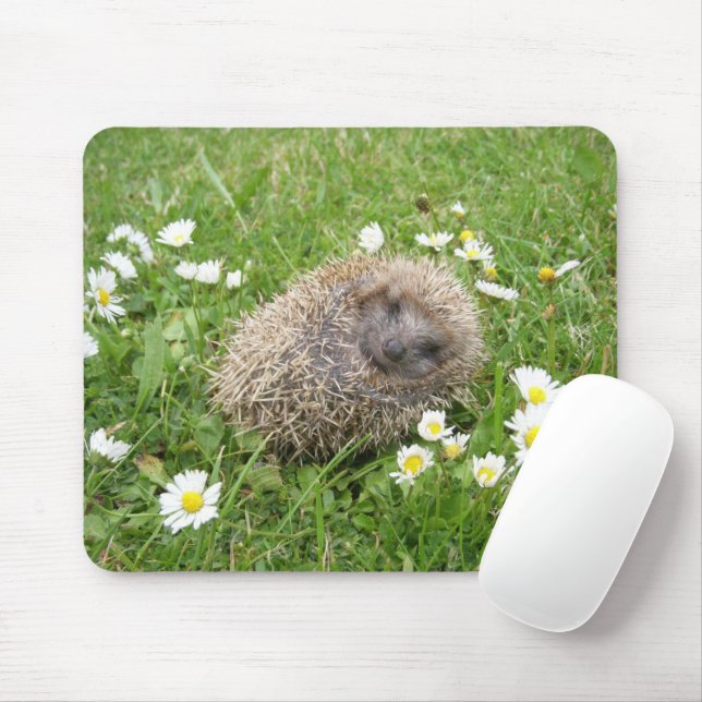 Niedliche Kleintiere | Spanischer Igel Mousepad (Mit Mouse)