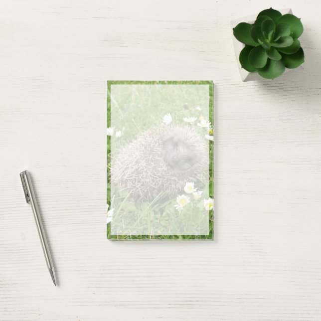 Niedliche Kleintiere | Spanischer Igel Post-it Klebezettel (Büro)