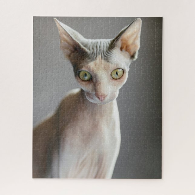 Niedliche Kleintiere | Sphinx Cat (Vertikal)