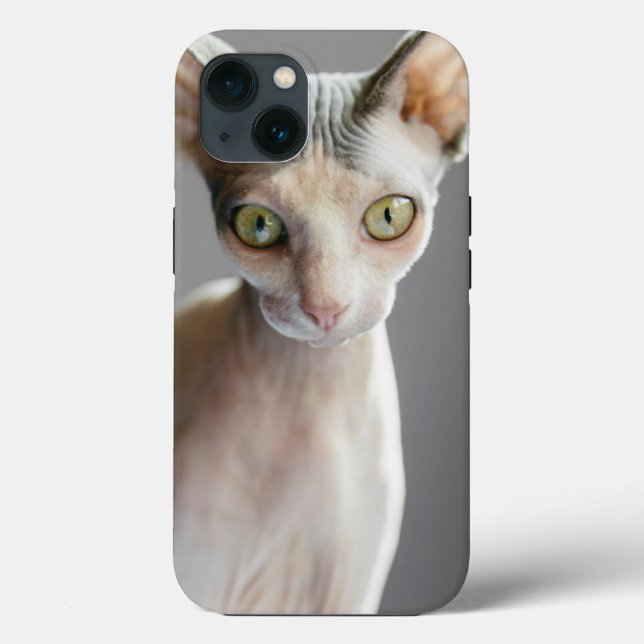 Niedliche Kleintiere | Sphinx Cat Case-Mate iPhone Hülle (Rückseite)