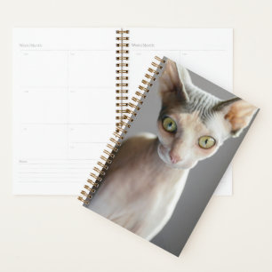 Niedliche Kleintiere   Sphinx Cat Planer