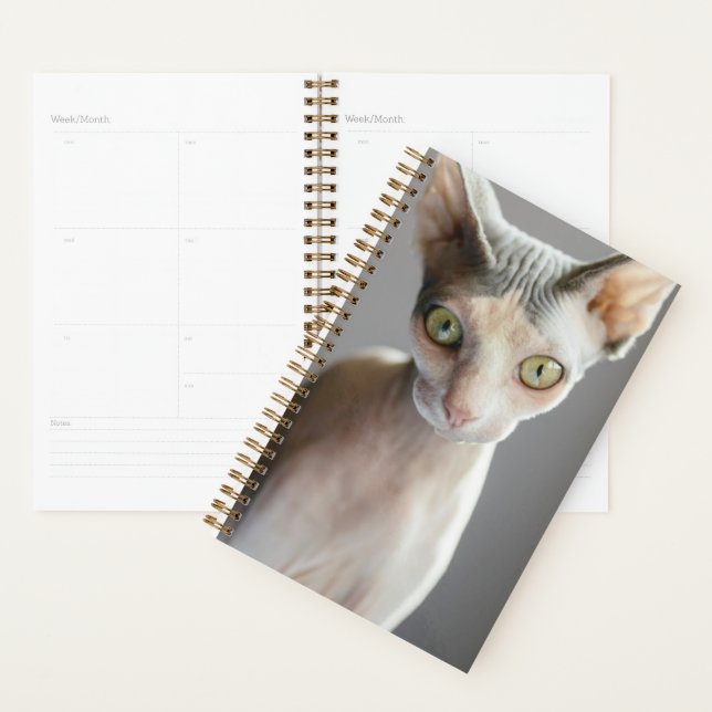 Niedliche Kleintiere | Sphinx Cat Planer (Anzeige)