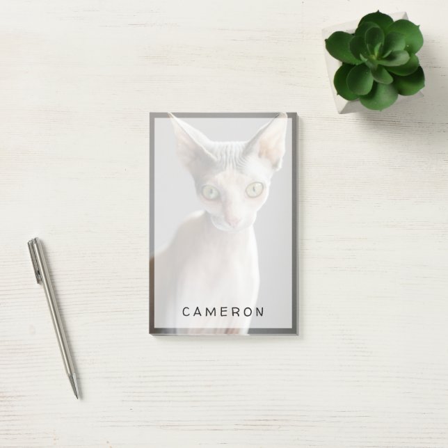 Niedliche Kleintiere | Sphinx Cat Post-it Klebezettel (Büro)