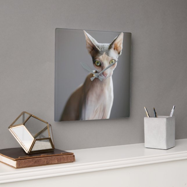 Niedliche Kleintiere | Sphinx Cat Quadratische Wanduhr (Büro)