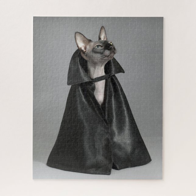 Niedliche Kleintiere | Sphynx Hairless Cat (Vertikal)