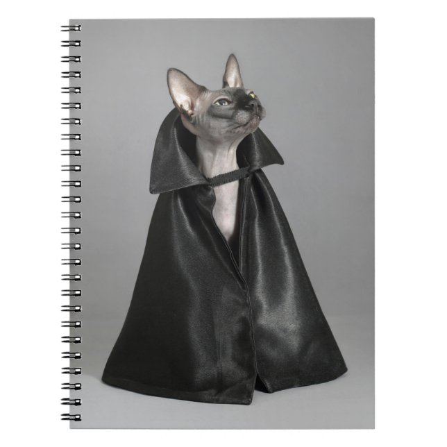 Niedliche Kleintiere | Sphynx Hairless Cat Notizblock (Vorderseite)