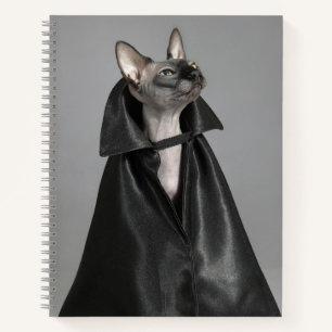 Niedliche Kleintiere   Sphynx Hairless Cat Notizbuch