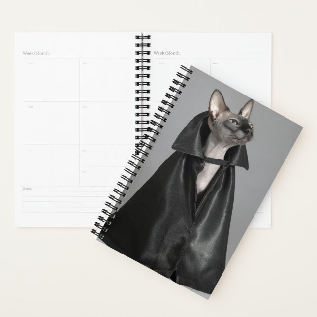 Niedliche Kleintiere | Sphynx Hairless Cat Planer (Anzeige)