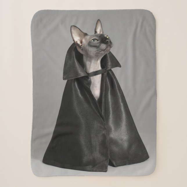 Niedliche Kleintiere | Sphynx Hairless Cat Sherpadecke (Vorderseite)