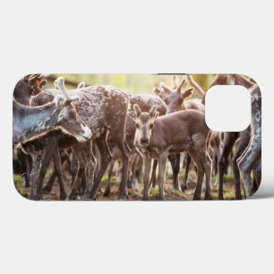 Niedliche Kleintiere   Svalbard Rentier Case-Mate iPhone Hülle