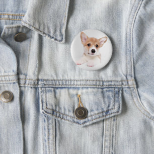 Niedliche Kleintiere   Sweet Baby Corgi Button