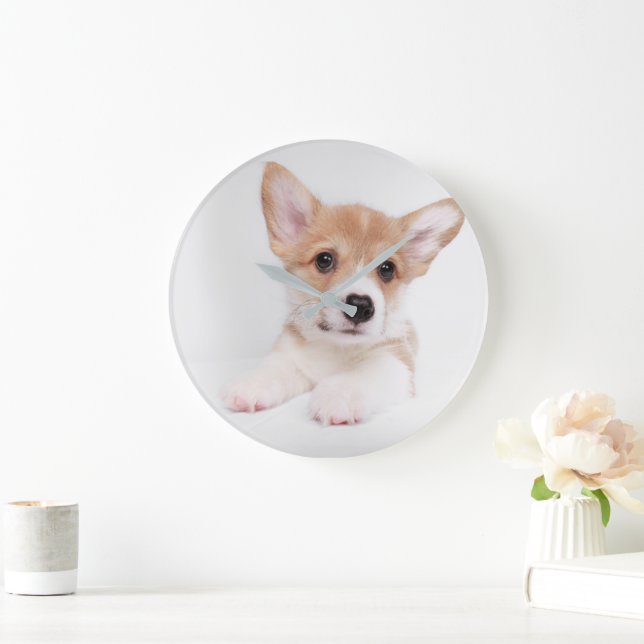 Niedliche Kleintiere | Sweet Baby Corgi Große Wanduhr (Zuhause)