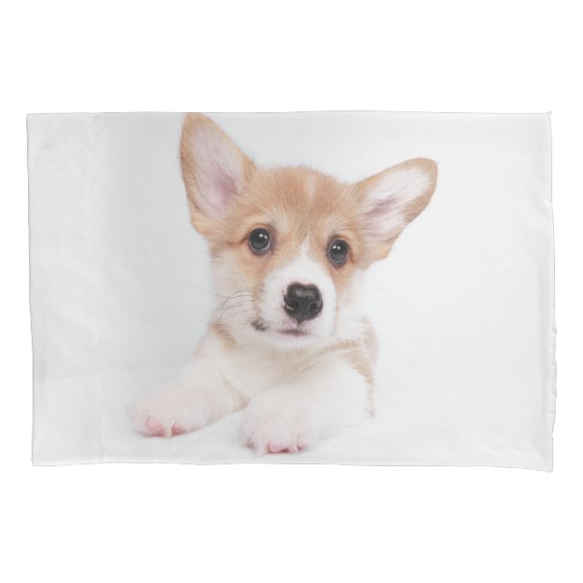 Niedliche Kleintiere | Sweet Baby Corgi Kissenbezug (Vorderseite)