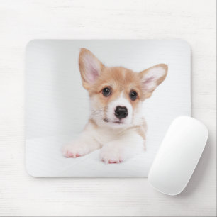 Niedliche Kleintiere   Sweet Baby Corgi Mousepad