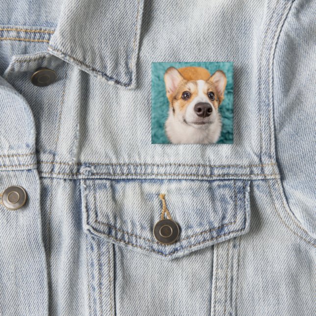 Niedliche Kleintiere | Sweet Corgi Puppy Face Button (Beispiel)