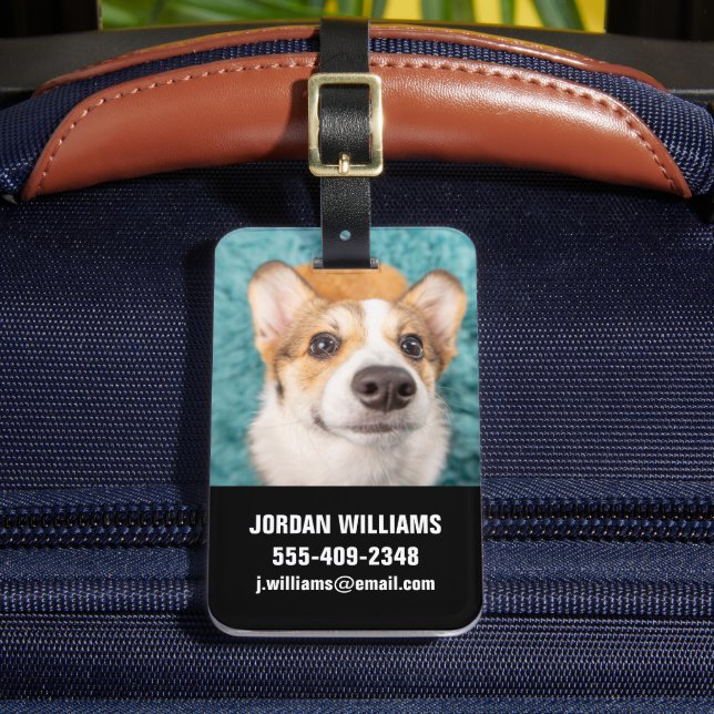 Niedliche Kleintiere | Sweet Corgi Puppy Face Gepäckanhänger (Vorderseite Insitu 2)