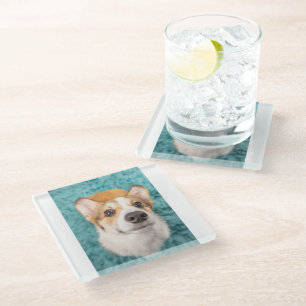 Niedliche Kleintiere Sweet Corgi Puppy Face Glasuntersetzer