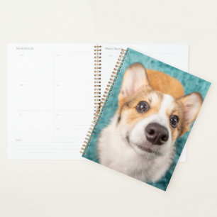 Niedliche Kleintiere Sweet Corgi Puppy Face Planer