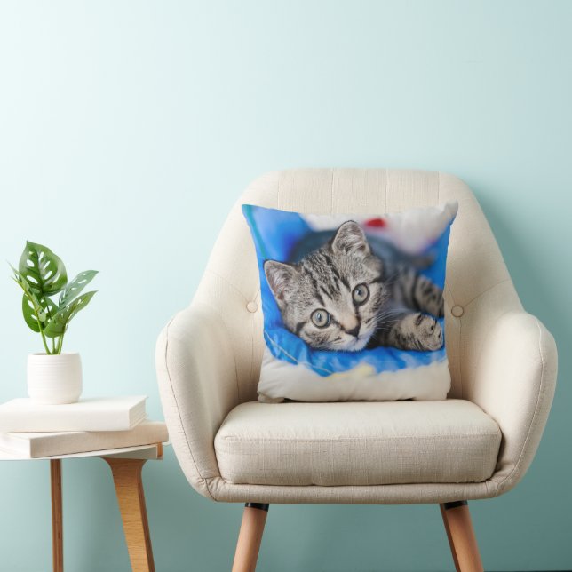 Niedliche Kleintiere | Tabby Kitten im Spieltunnel Kissen (Stuhl )
