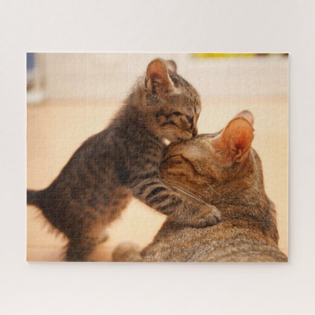 Niedliche Kleintiere | Tabby Kitten Kiss (Horizontal)